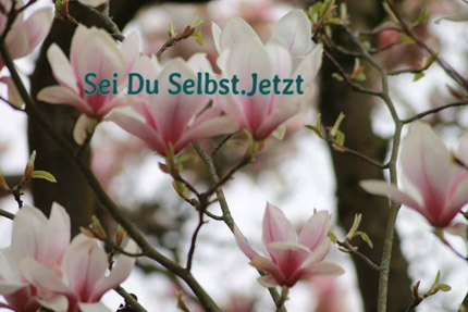 Zusammenarbeit und Marketing für Sei Du selbst Meditation und Entspannungstraining